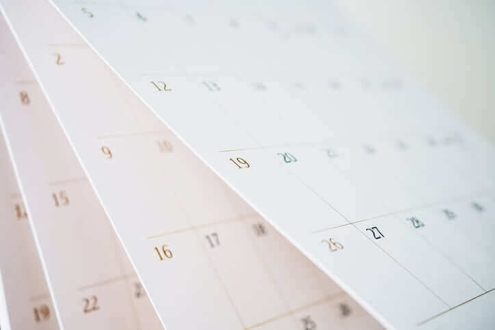 Annual Georgia Apple Festival event