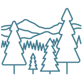 Icon illustration of a mountain view with treeline