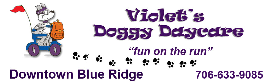 Violet`s Doggy Daycare