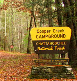Cooper Creek Campground