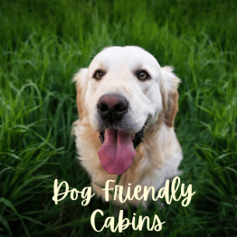 Search Dog Friendly Cabins