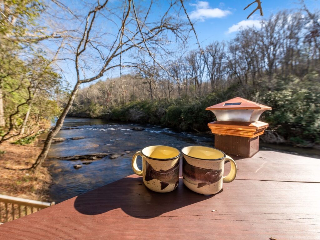 View of Stream and Fish Coffee Cups at Vacation Rental Talking Waters