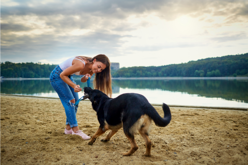 Girl Playing with Dog on Lake Blue Ridge Beach