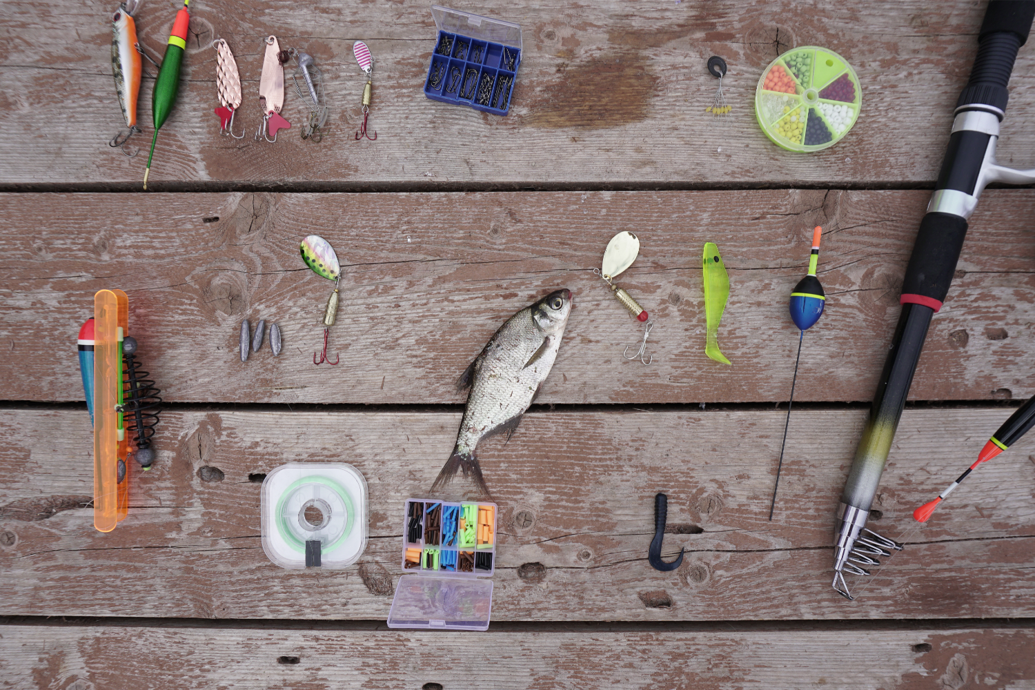 Various Fishing Gear and Fish on Wood Table at Lake Nottely